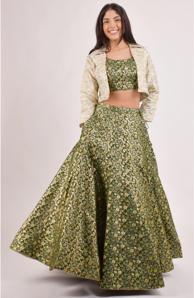 RAAS Zele Banarasi Lehenga Choli With Jacket, Alternate, color,