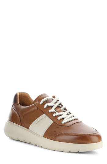 Ambitious 12863 Low Top Sneaker In Brown