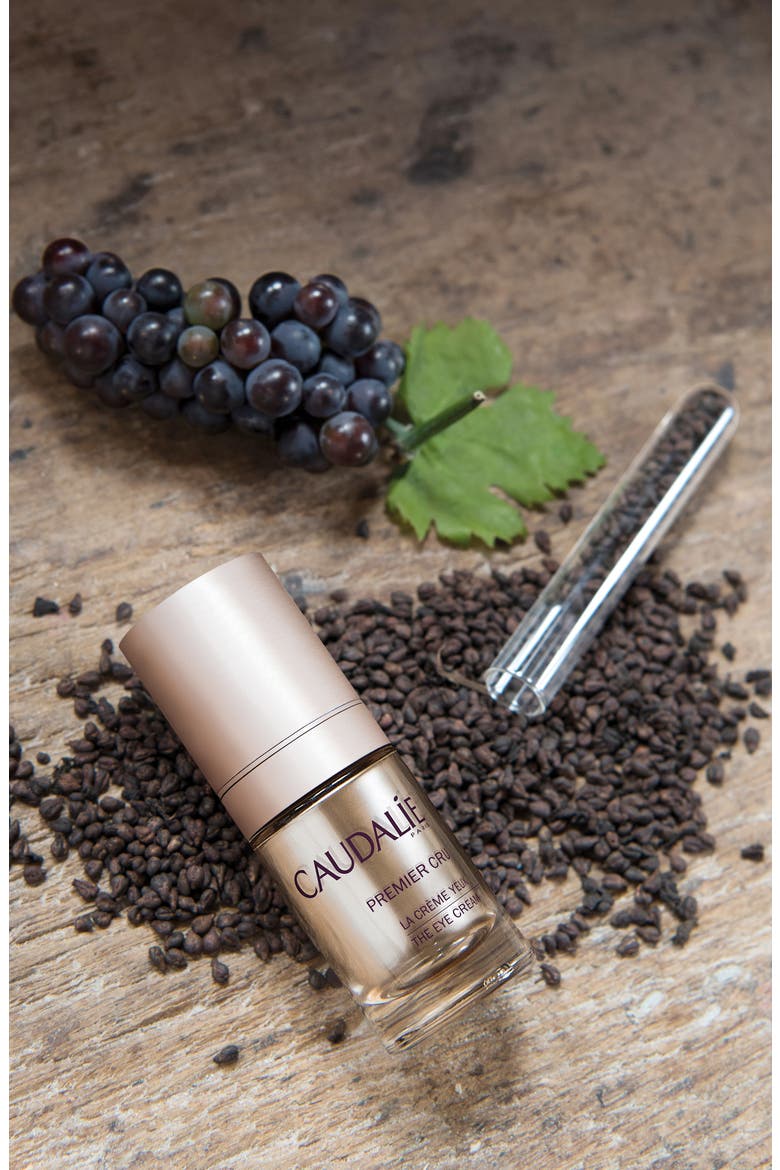 Premier Cru Eye Cream, Alternate, color, NO COLOR