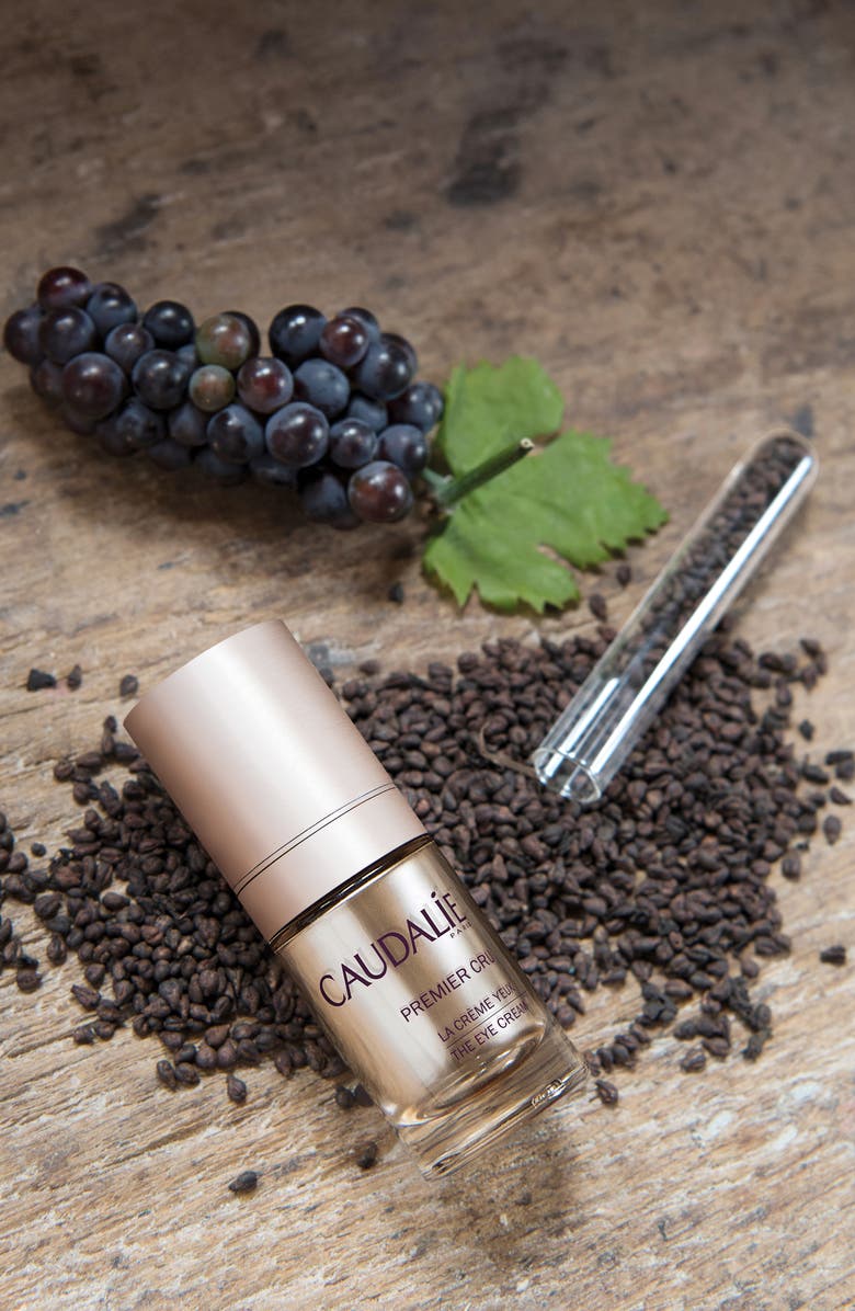 CAUDALÍE Premier Cru Eye Cream, Alternate, color, 