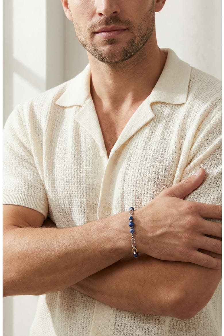 Men's Micah Sodalite & Chain Bracelet, Alternate, color, SILVER