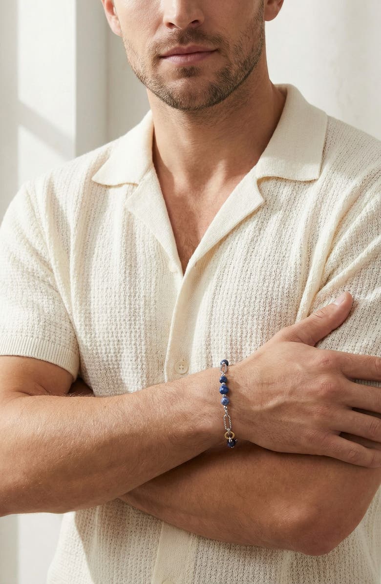 EYE CANDY LOS ANGELES Men's Micah Sodalite & Chain Bracelet, Alternate, color, 