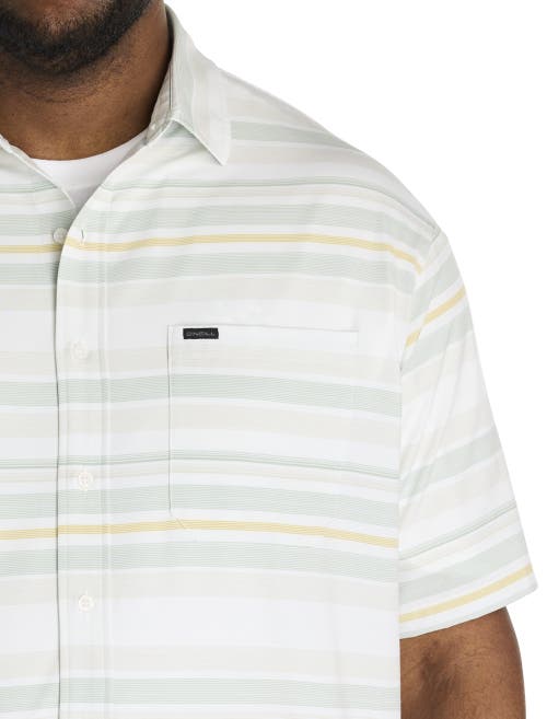 O'neill Seafaring Stripe Short Sleeves Standard Woven Shirt In White