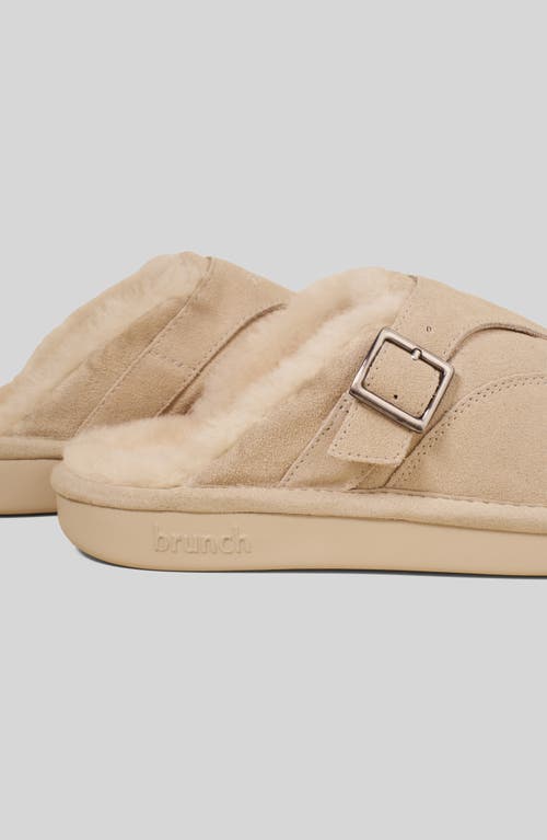 Brunch Amour Genuine Shearling Slipper