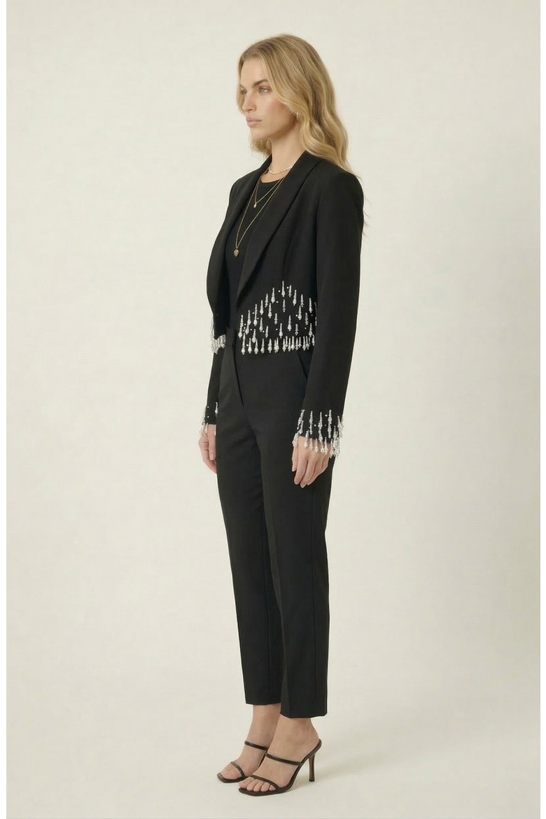 Beaded Cropped Blazer with Shawl Collar, Alternate, color, Black