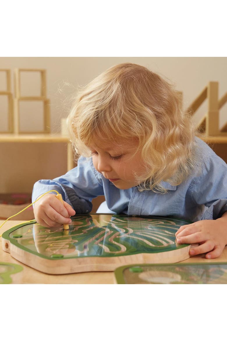 Nature's Paths Magnetic Leaf Mazes - Set of 3, Alternate, color, Green