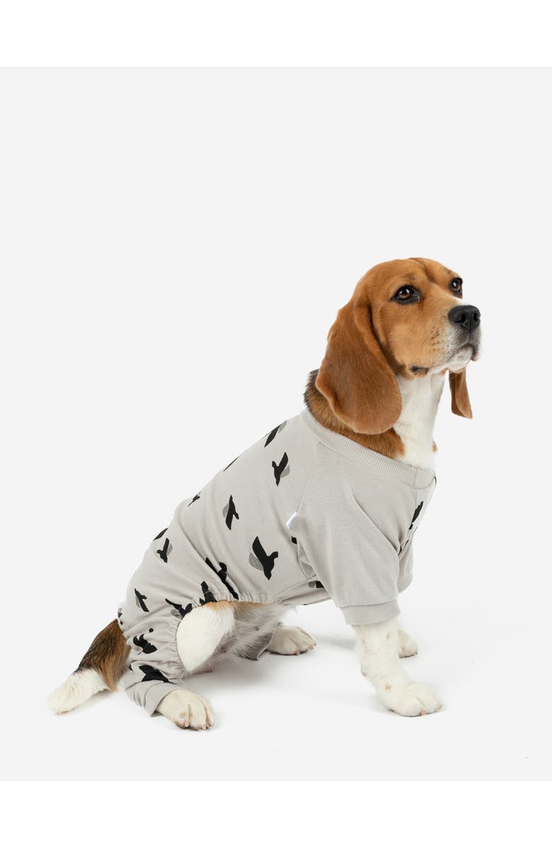 Leveret Dog Cotton Matching Family Pajamas, Animals & Paw Prints, Main, color, Bird Gray