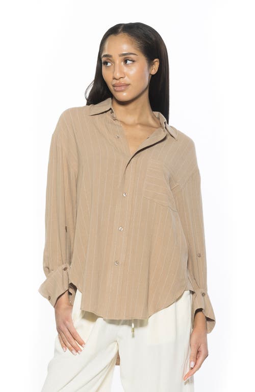 Alexia Admor Amber Stripe High-low Button-up Shirt In Beige Stripe