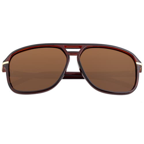 Simplify Reed Polarized Sunglasses In Brown/brown