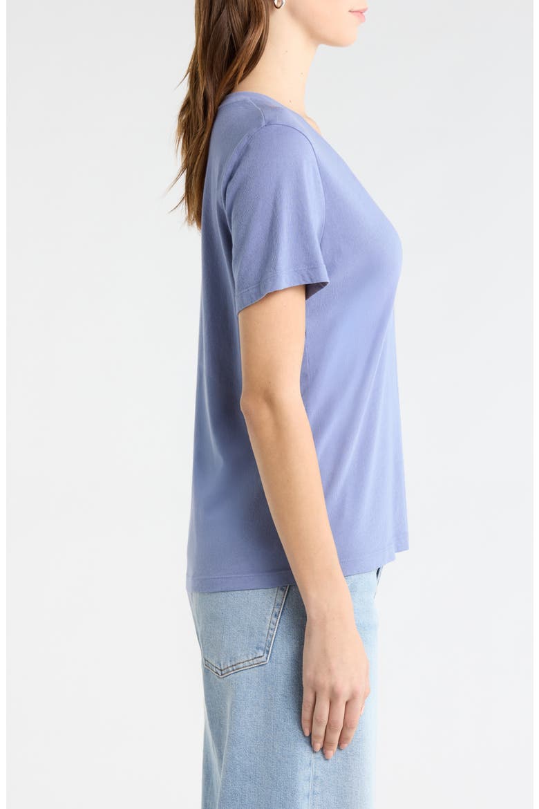 The Organic Cotton V-Neck Tee, Alternate, color, Steel Blue