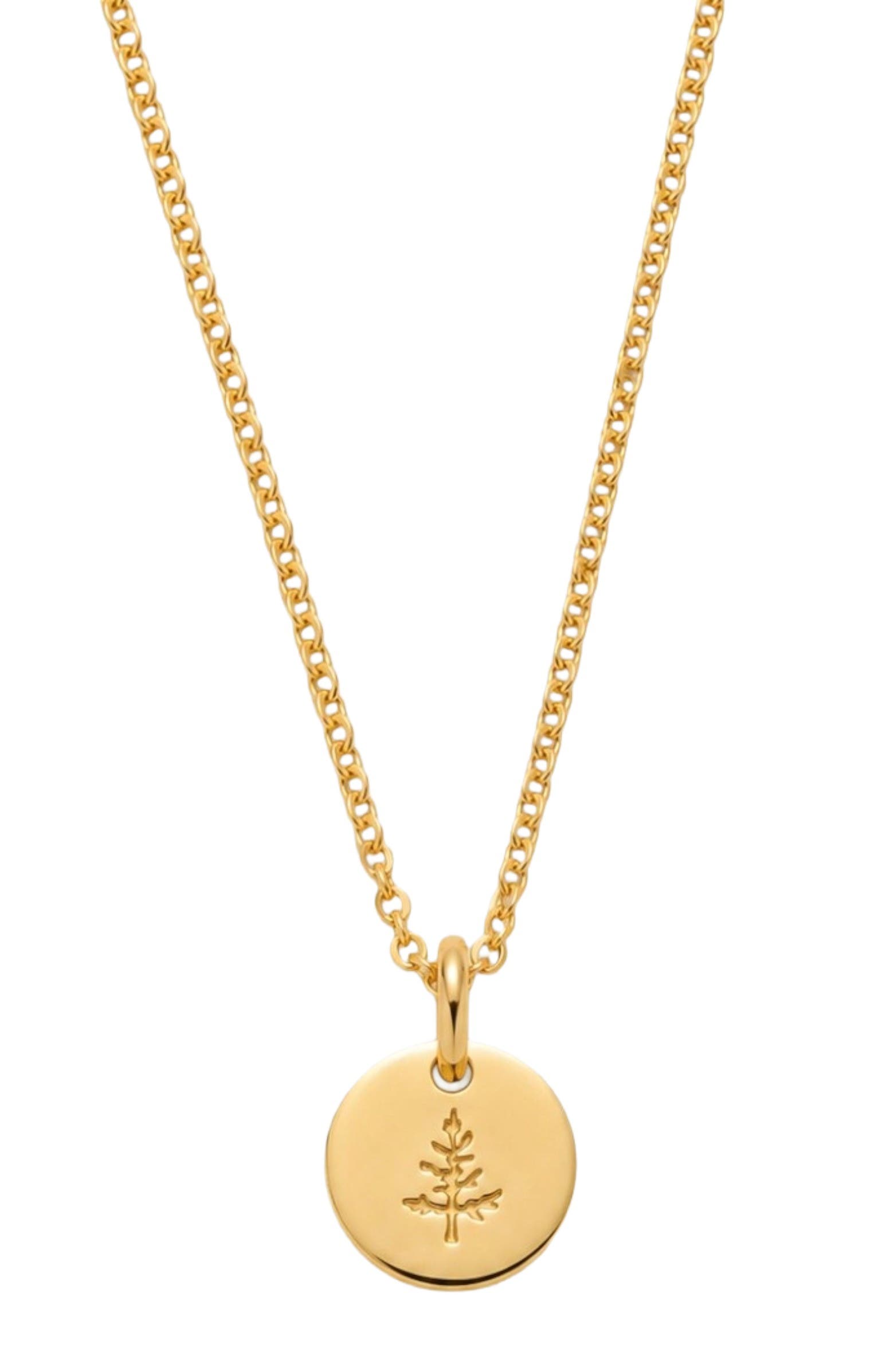 Gold Filled