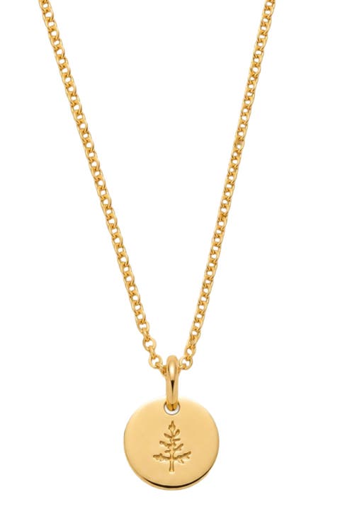 Pine Tree Disc Necklace