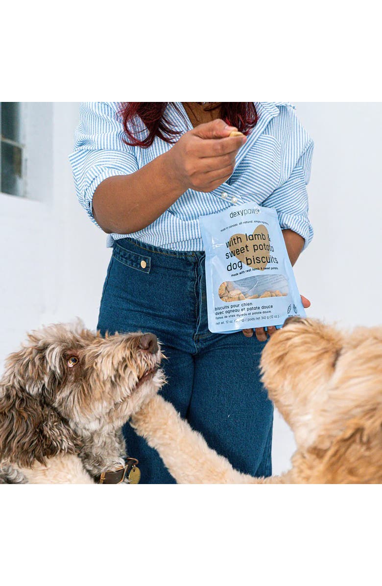Dexypaws Lamb & Sweet Potato Dog Biscuits 12oz, Alternate, color, 