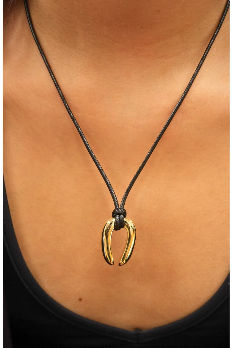 Serena Upside Down Horseshoe Pendant Cord Necklace, Alternate, color, GOLD/ BLACK