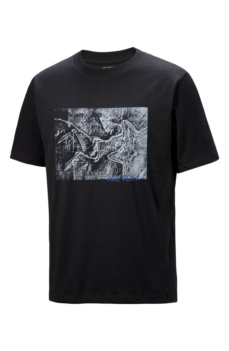 Arc'teryx Kragg Lithographica Cotton Graphic T-Shirt, Main, color, Black