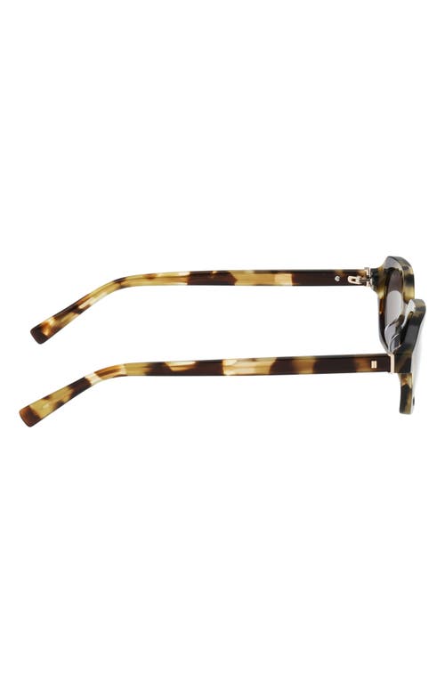Abercrombie & Fitch 50mm Oval Sunglasses In Brown