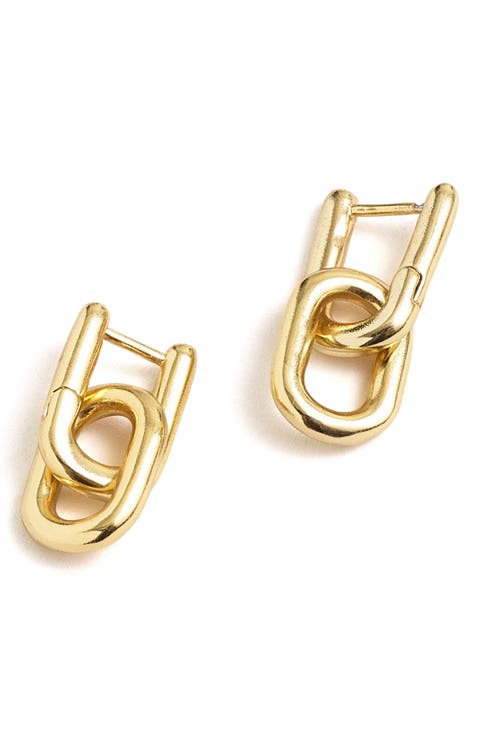 Modular Carabiner Hoop Earrings