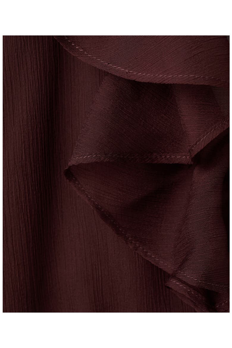 Sheer Ruffle Shirt, Alternate, color, CHOCOLATE