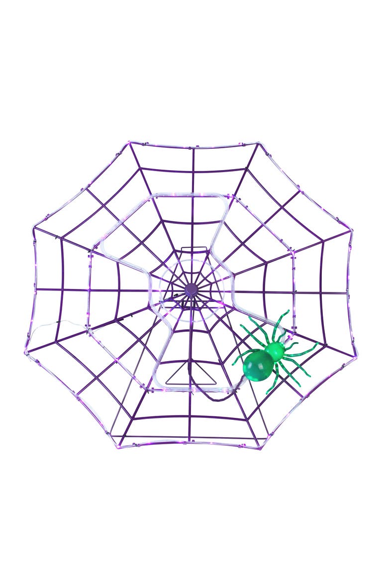 4 ft. Outdoor Animated Spider Web - Purple Web, Main, color, Purple