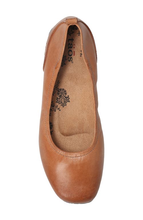 Taos Chit Chat Ballet Flat In Brown