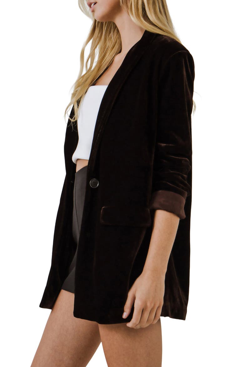Velvet Blazer, Alternate, color, BROWN