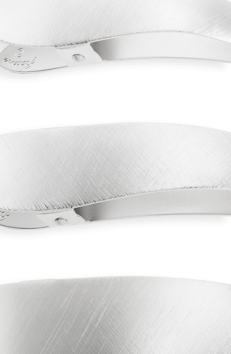 Ficcare Maximas Ice Hair Clip, Alternate, color, Ice Silver