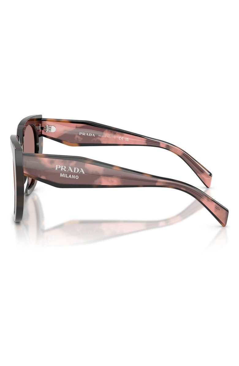 Prada 52mm Cat Eye Sunglasses, Alternate, color, Mauve Tortoise / Light Brown