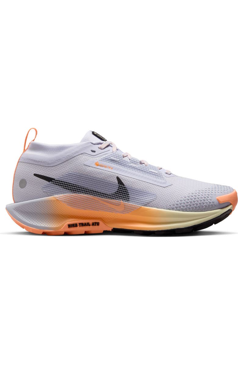 Nike Pegasus Trail 5 Gore-Tex<sup>®</sup> Waterproof Running Shoe, Alternate, color, 011 Ghost/Black