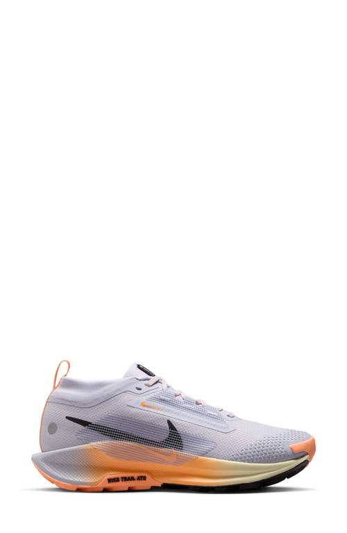 Nike Pegasus Trail 5 Gore-tex® Waterproof Running Shoe In Multi