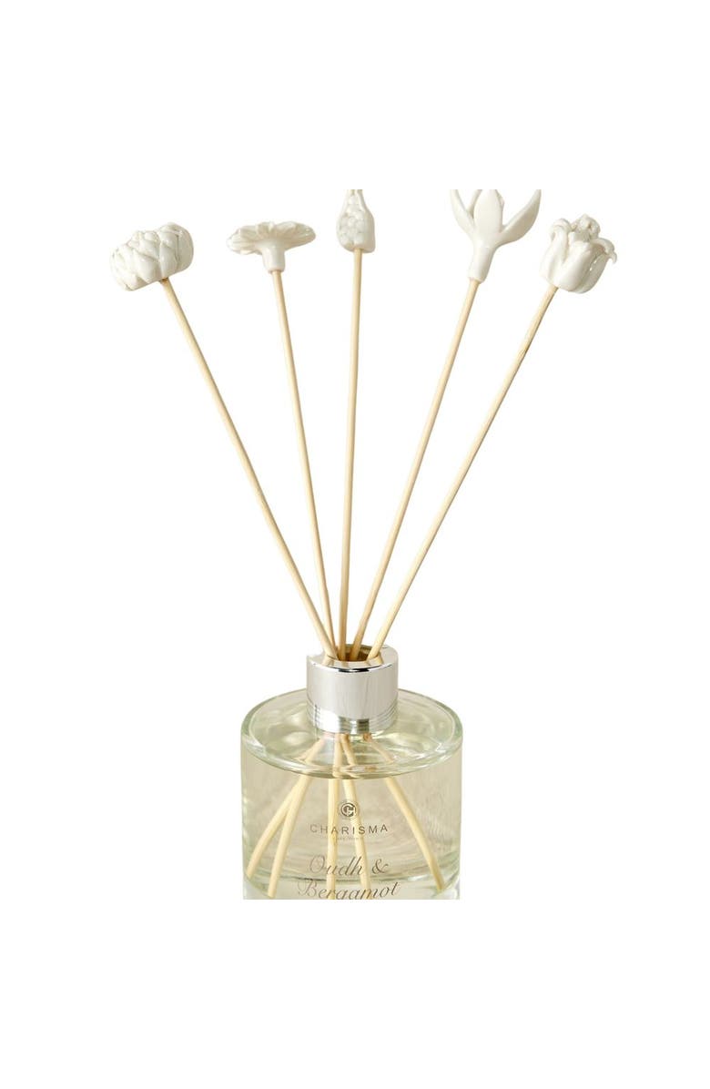 kanju Interiors African Flowers  Diffuser Set, Main, color, Natural - Small
