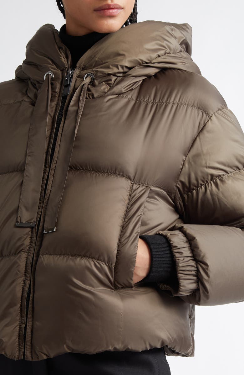 Max Mara Seie Hooded Down Puffer Jacket, Alternate, color, 