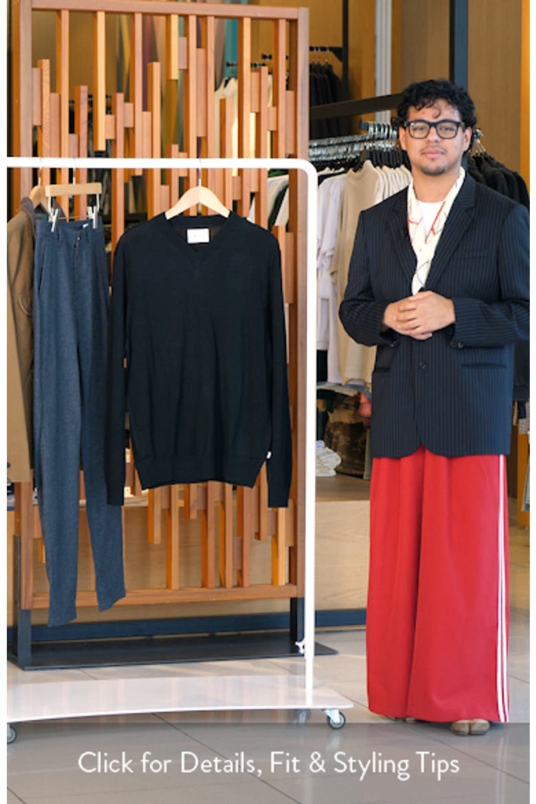 Serge 6584 Wool Blend V-Neck Sweater video