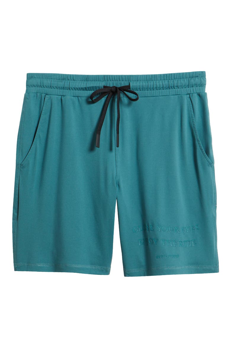 Tempo Enjoy Comfort Fleece Drawstring Shorts - Ryan Sheckler Edition, Alternate, color, BLUE