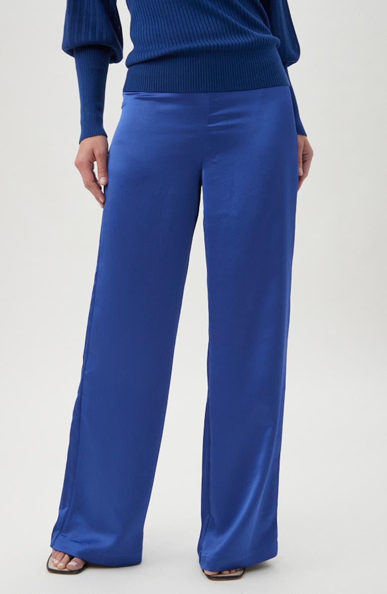 Trina Turk Enryo Wide Leg Pants, Main, color, Admiral Blue