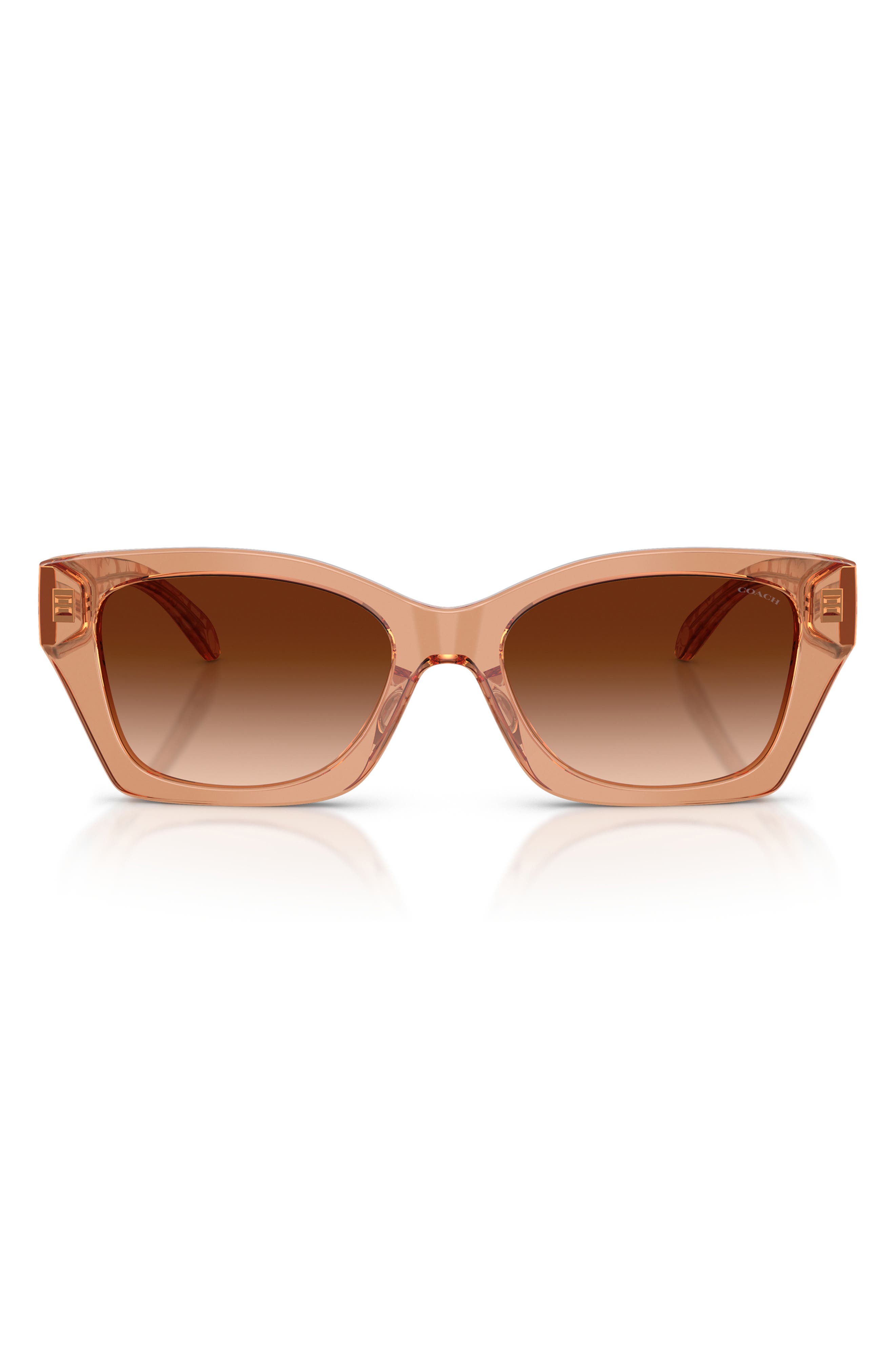 TRANSPARENT BROWN / BROWN
