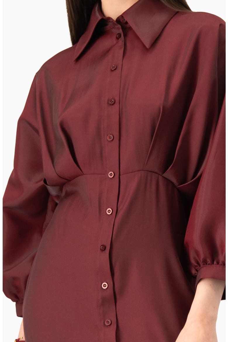 Long Shirt-collar Dress With Balloon Sleeves, Alternate, color, Wine