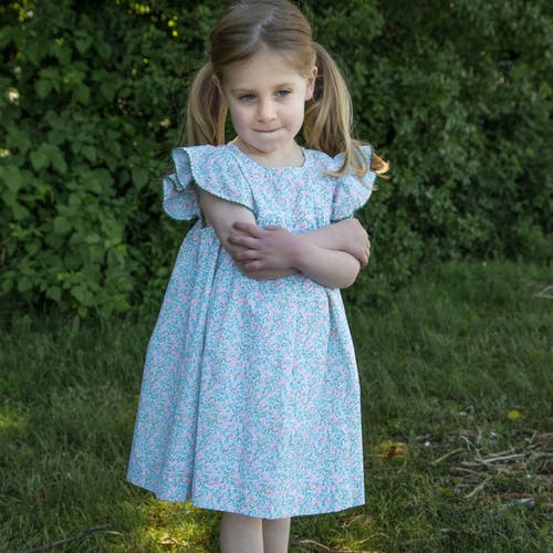 Beet World Girls Hannah Dress With Flutter Sleeves In Pastel Green And Peach