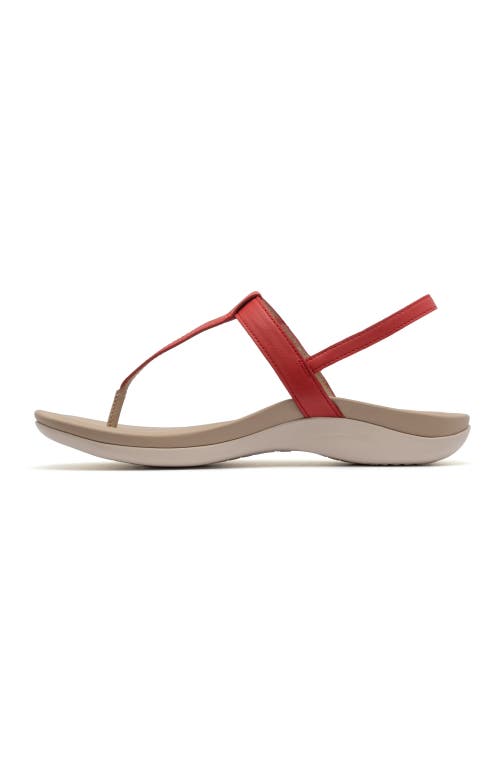 ABEO ABEO OASIS T STRAP SANDAL