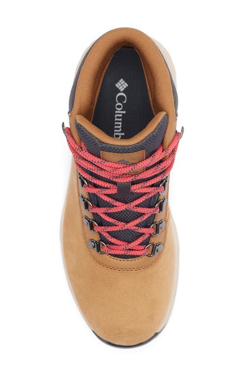 Columbia Newton Wander™ Waterproof Hiking Boot In Elk/sunset Red