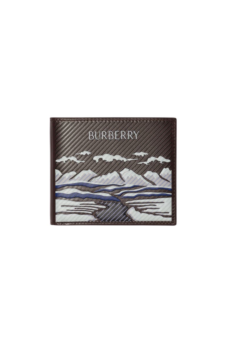 Alpine Bifold Wallet, Main, color, Multicolour