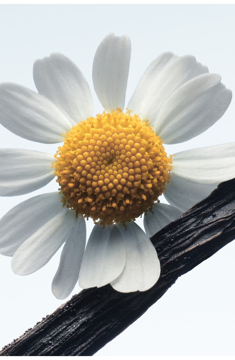 Dries Van Noten Camomille Satin Refillable Eau de Parfum, Alternate, color,