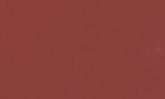 selected 233 BROWN ELEVATION