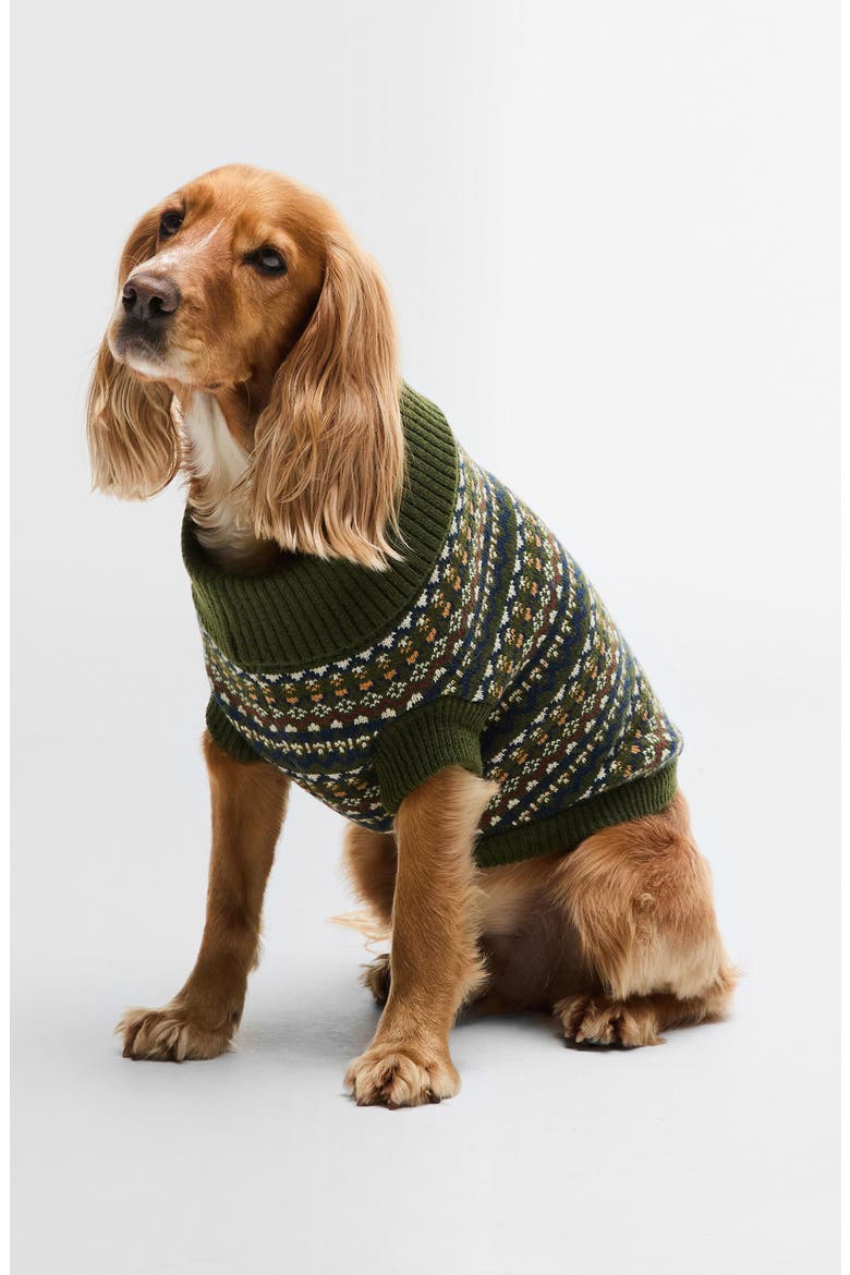 Fair Isle Dog Sweater, Main, color, OLIVE