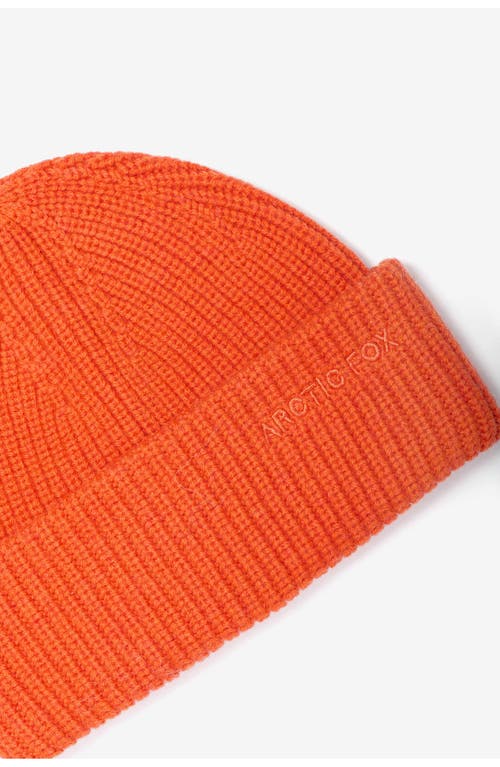 Arctic Fox & Co. Arctic Fox & Co The Embroidered Merino Wool Beanie In Orange
