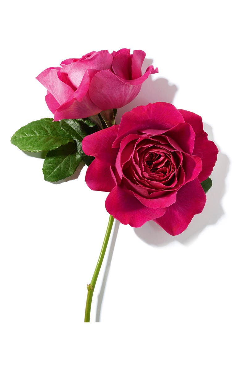 Lancôme Trésor Midnight Rose Eau de Parfum, Alternate, color,