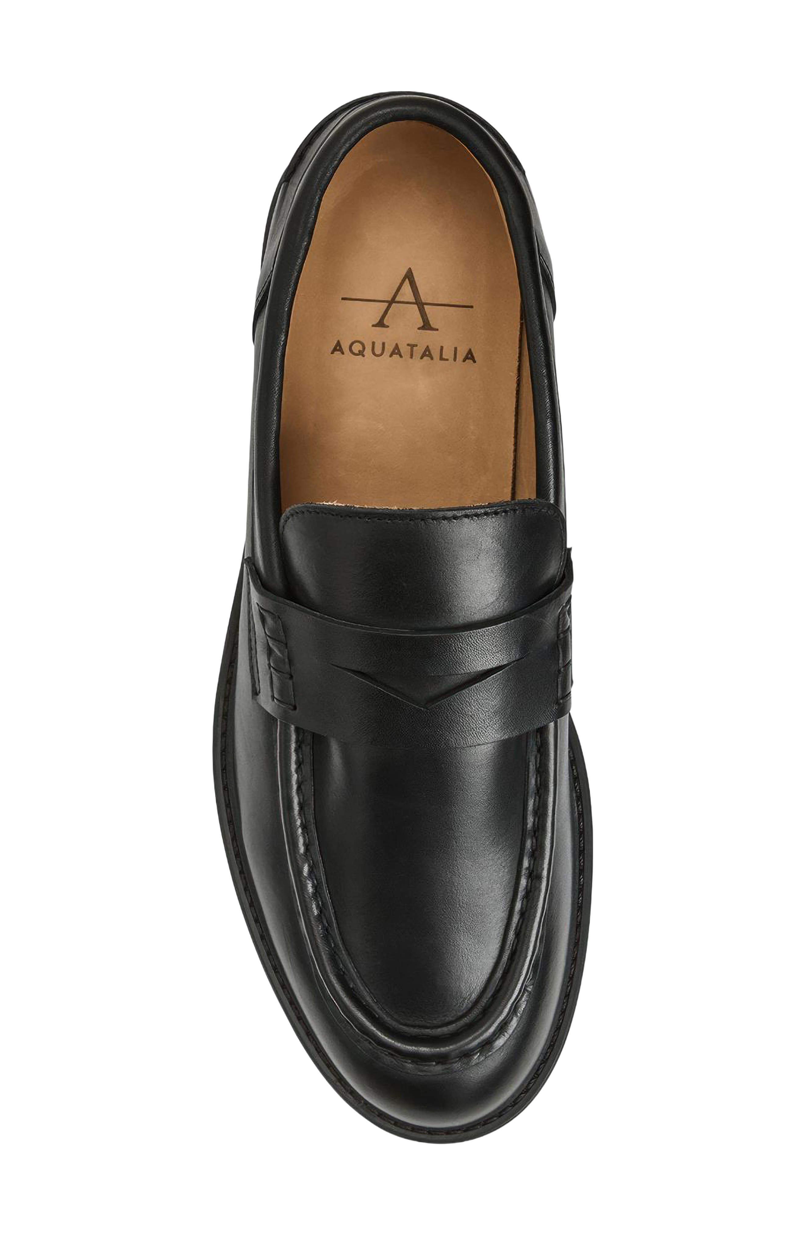 Aquatalia Ellis Penny Loafer, Alternate, color, 