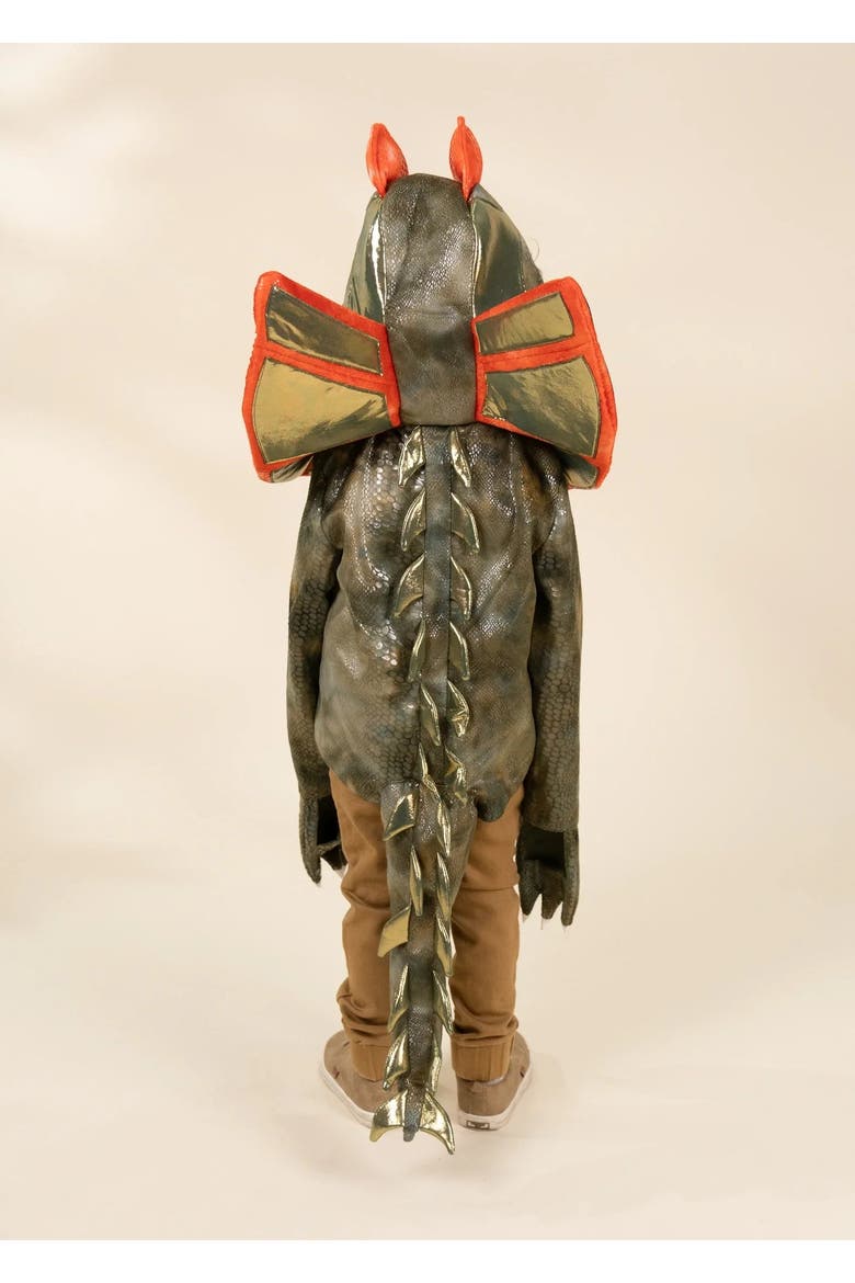 Dinosaur Play Costume Cape, Alternate, color, Brown