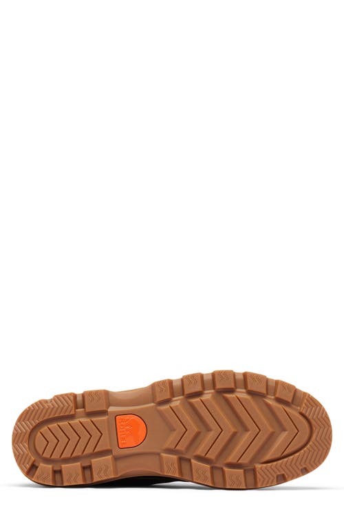 Sorel Scout N About™ Low Sneaker In Black/gum