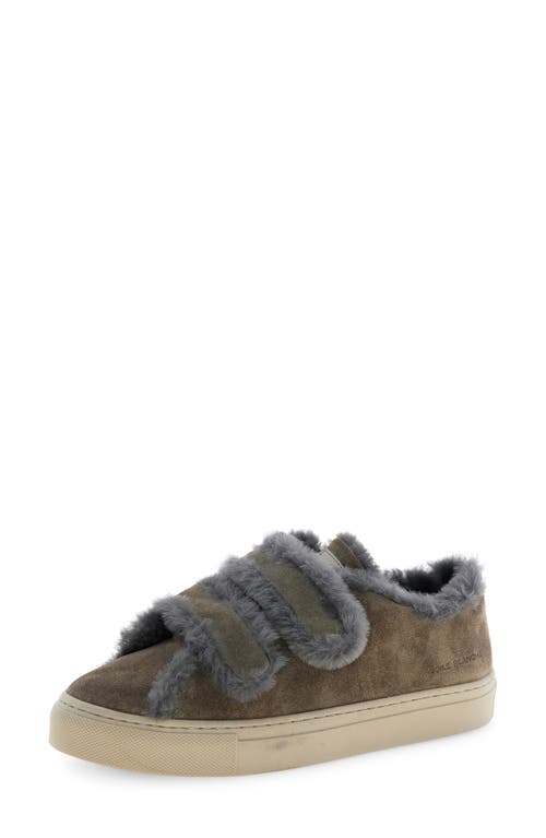 Voile Blanche Gretha Genuine Shearling Sneaker In Brown