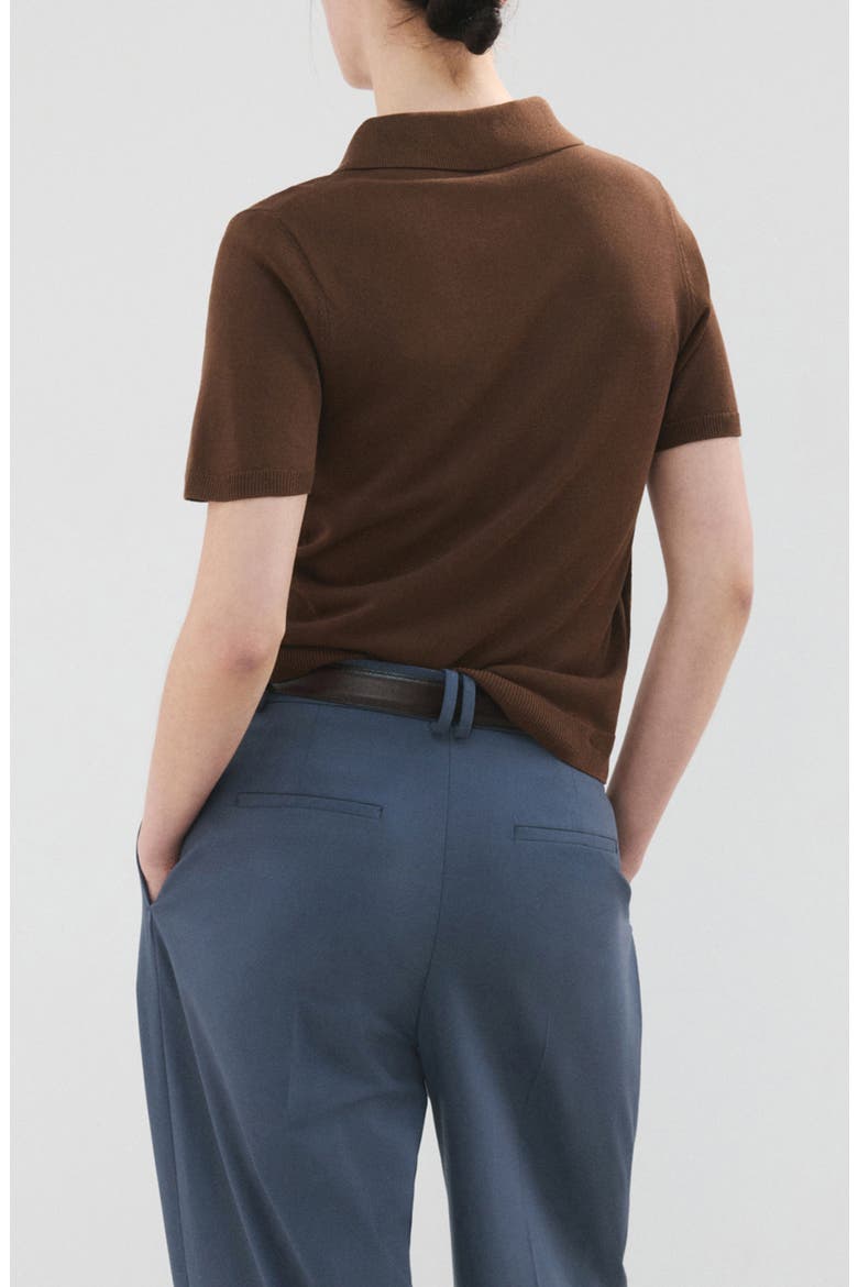 Short Sleeve Jersey Polo Sweater, Alternate, color, CHOCOLATE